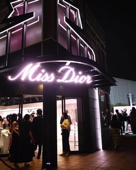 miss dior exhibit.